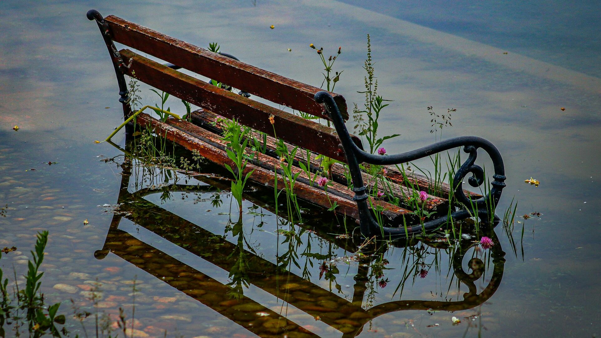 a bench sitting in the middle of a lake